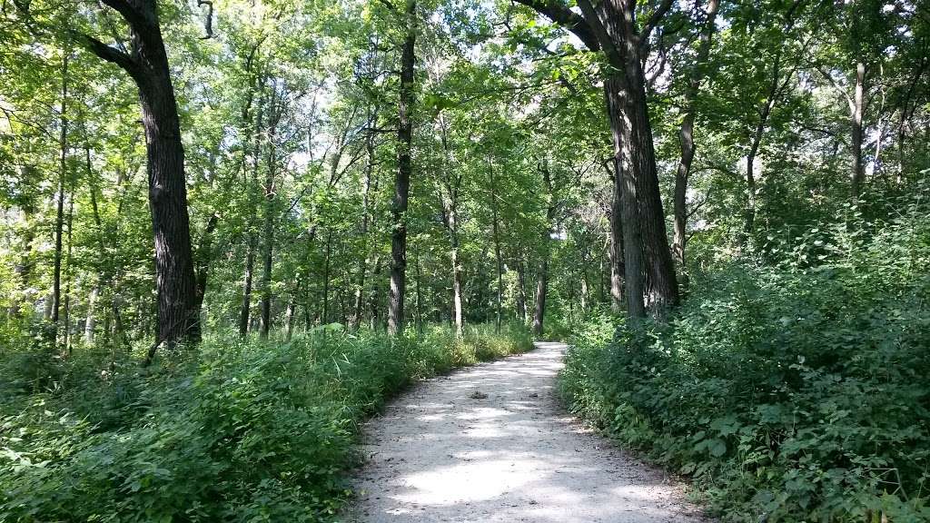 Wood Dale Grove Forest Preserve | Wood Dale, IL 60191, USA | Phone: (630) 933-7248