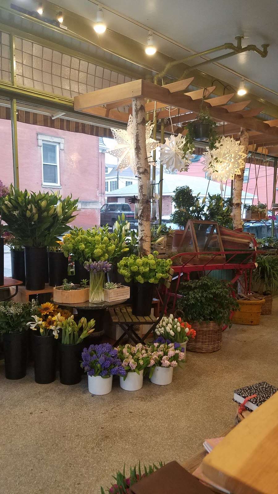 Jephry Floral Studio | 432 Broadway, Providence, RI 02909, USA | Phone: (401) 351-3510