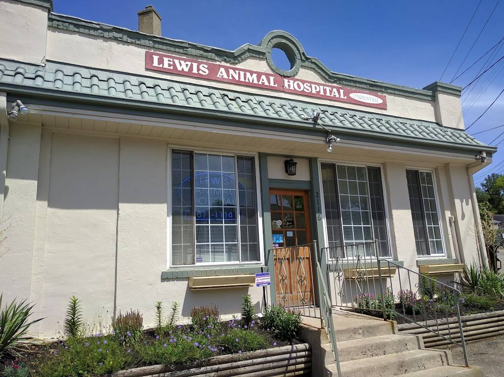 Lewis Animal Hospital-Madison Rd | 2116 Madison Rd, Cincinnati, OH 45208, USA | Phone: (513) 871-1114