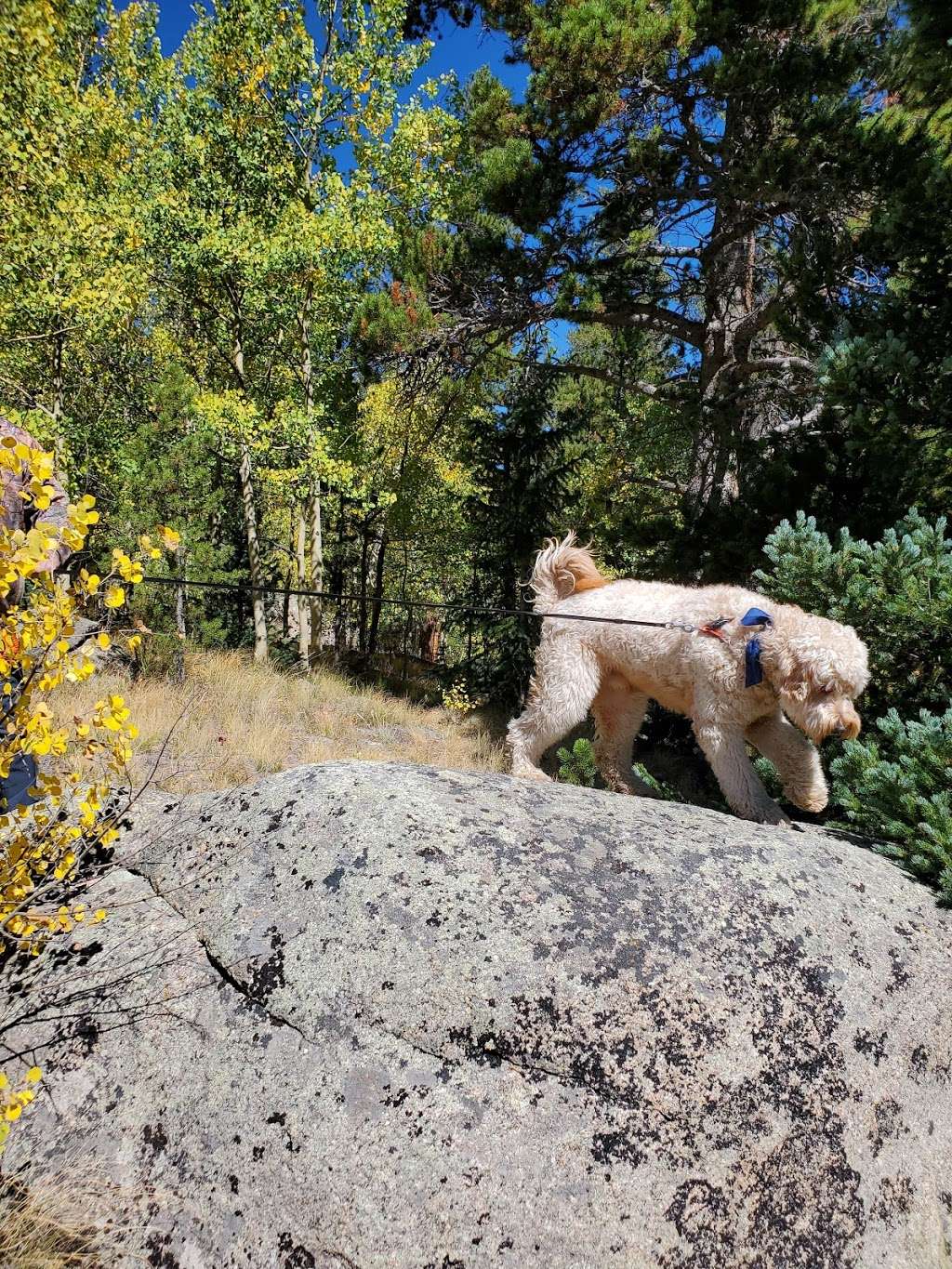 Abyss Trailhead | Grant, CO 80448, USA