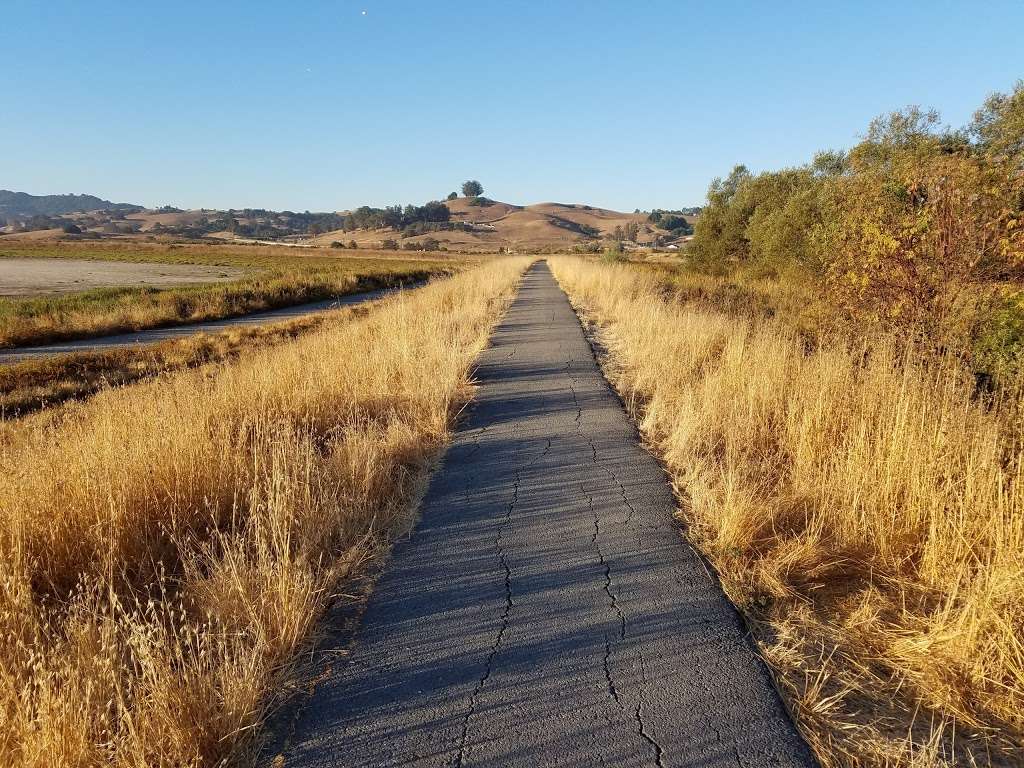 Shollenberger Park | Hours: Sunrise to Sunset, 1400 Cader Ln, Petaluma, CA 94954, USA | Phone: (707) 778-4303