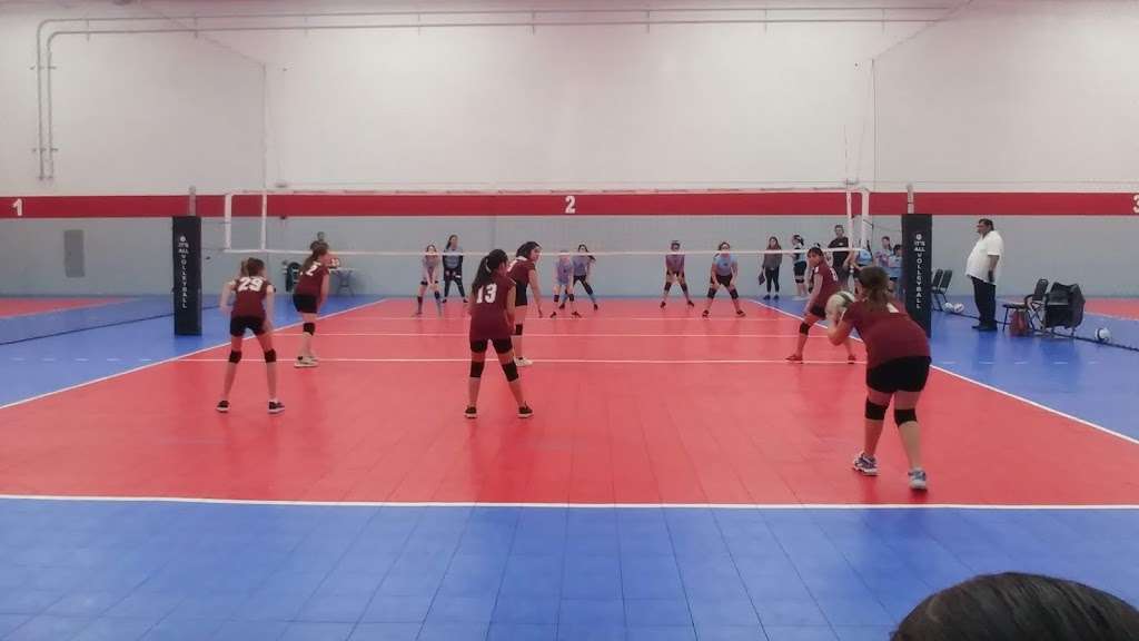 Its All Volleyball | 530 E Pamalyn Ave, Las Vegas, NV 89119, USA | Phone: (702) 695-6769