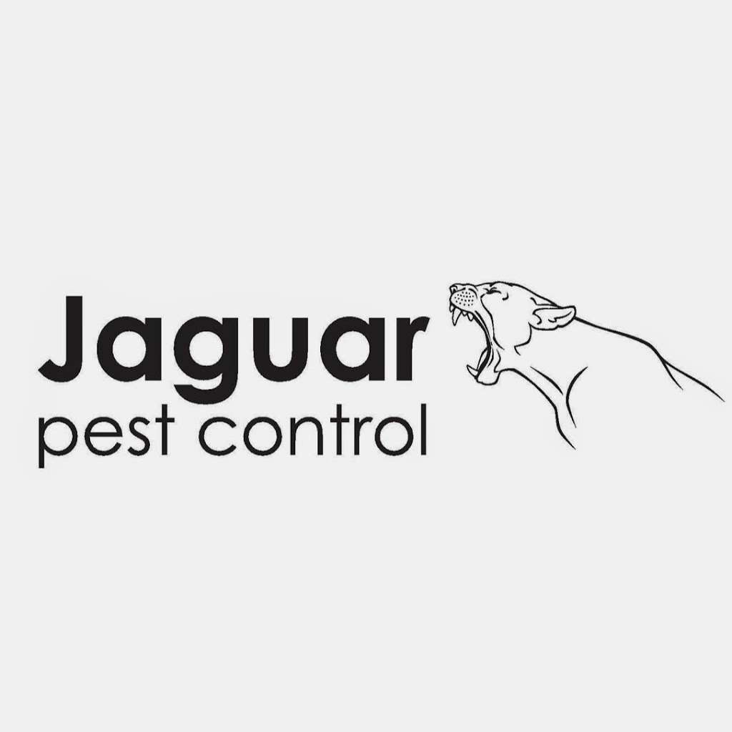 Jaguar Pest Control | 9 Winford Dr, Broxbourne EN10 6PL, UK | Phone: 07426 393344