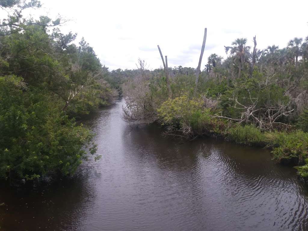 Otter Park South | Otter Blvd, New Smyrna Beach, FL 32168, USA | Phone: (386) 424-2175