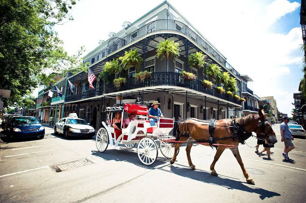 Hotel Royal | 1006 Royal St, New Orleans, LA 70116, USA | Phone: (504) 524-3900