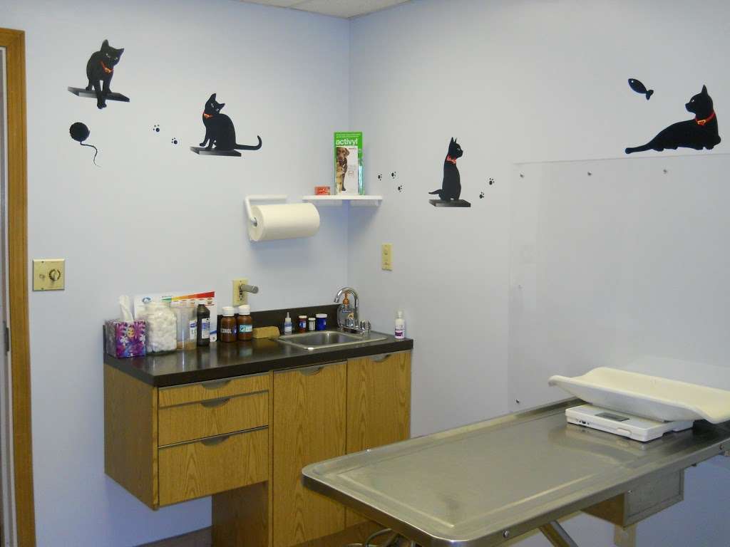 DeWitt Animal Hospital | 145 Washington St, Plainville, MA 02762, USA | Phone: (508) 695-0261