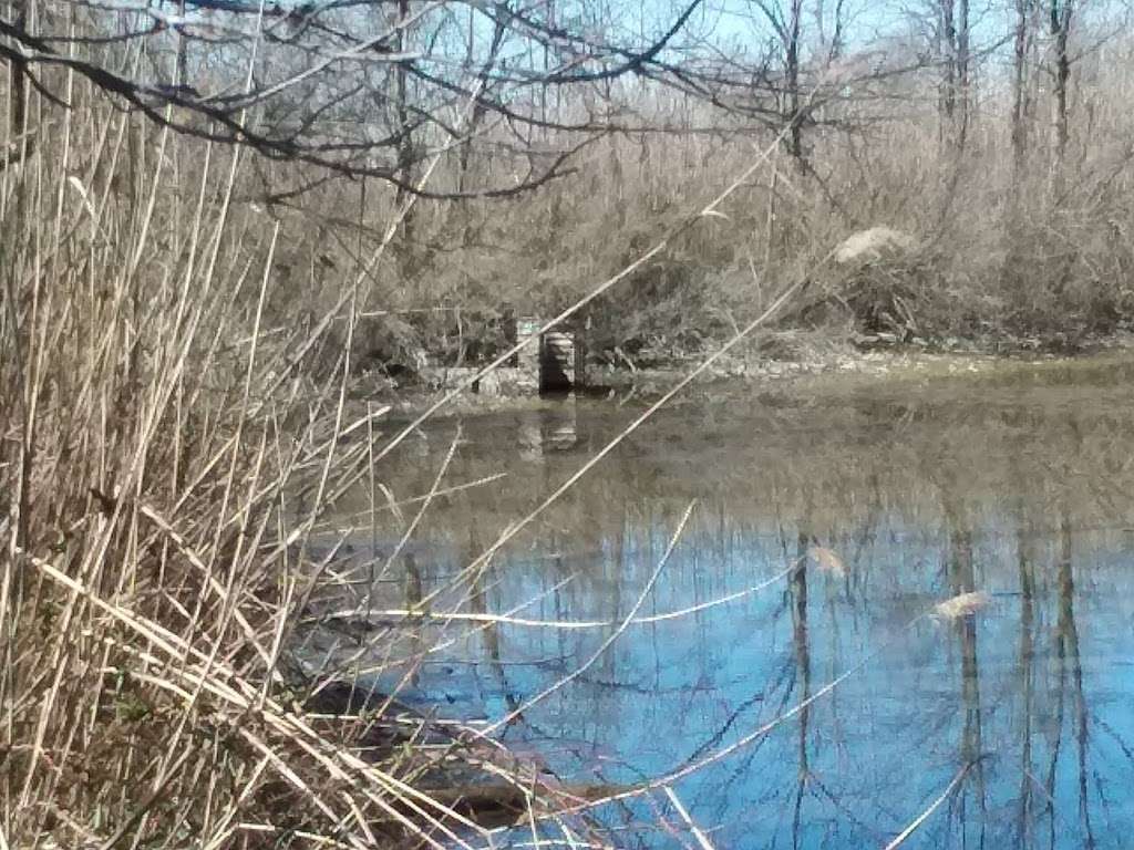 Eastern Neck National Wildlife Refuge | 1730 Eastern Neck Rd, Rock Hall, MD 21661, USA | Phone: (410) 639-7056