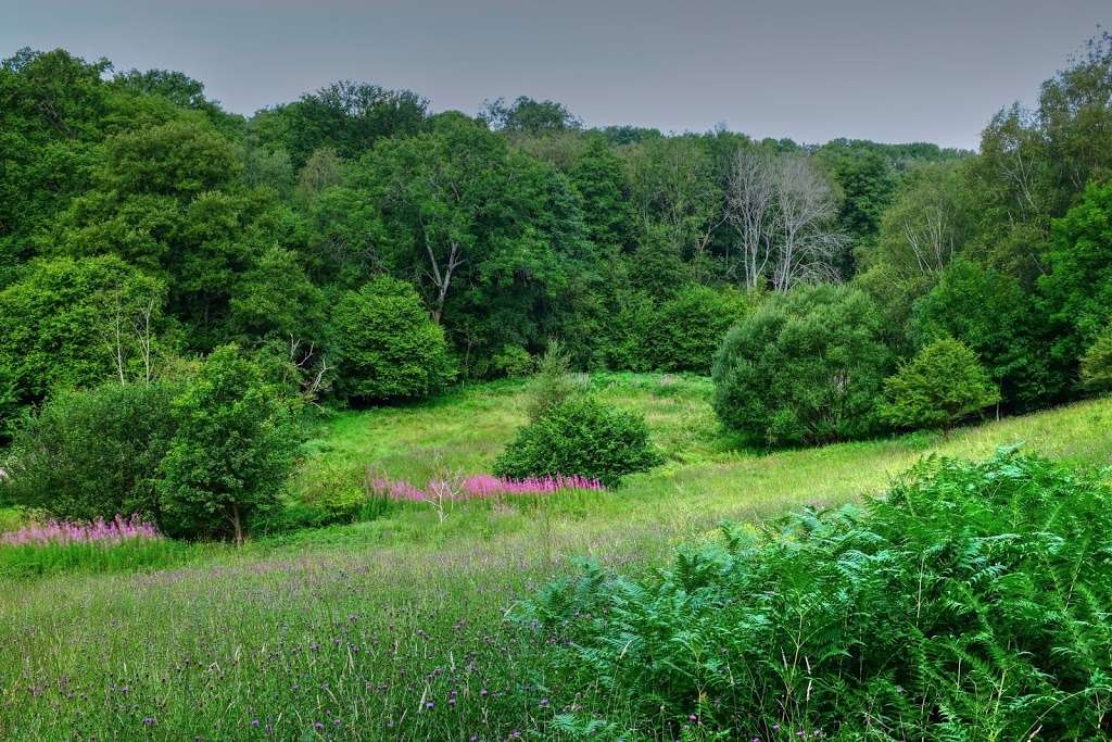 Cowden Pound Pastures | Unnamed Track, Edenbridge TN8 5NL, UK