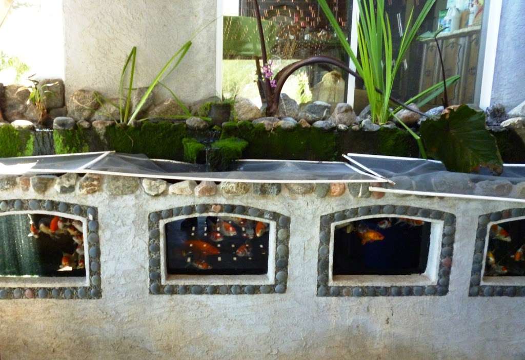 Koiland, Inc | Custom Koi Pond Designs, Supplies & Maintenance | 1757 Bittersweet Hill, Vista, CA 92084, USA | Phone: (760) 631-4900