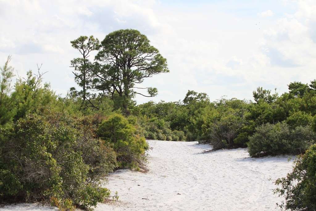 Jupiter Ridge Natural Area | 1800 US-1, Jupiter, FL 33477, USA | Phone: (561) 233-2400