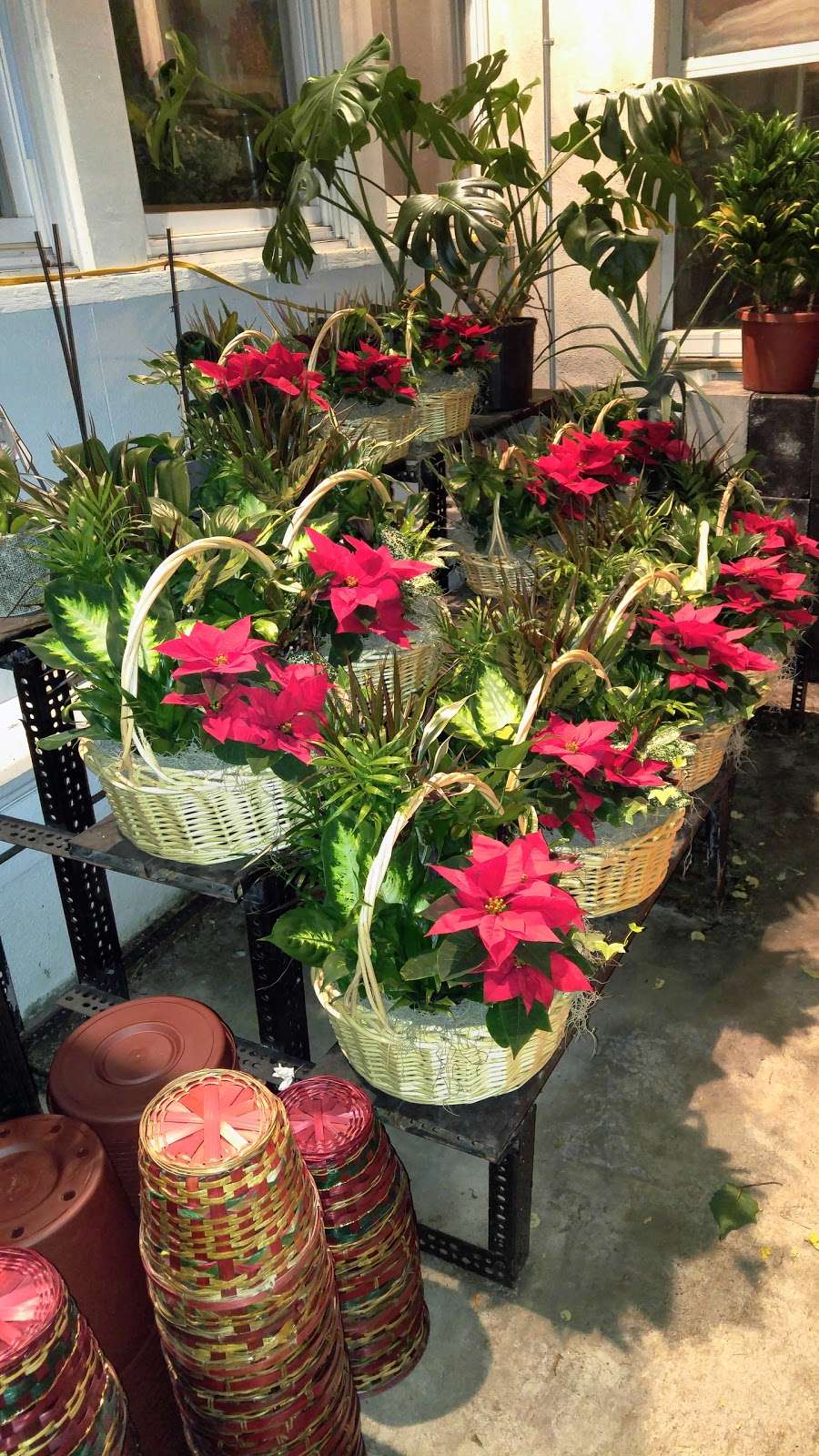 Americas Florist Inc | 227 W Union Ave, Bound Brook, NJ 08805 | Phone: (732) 469-7673