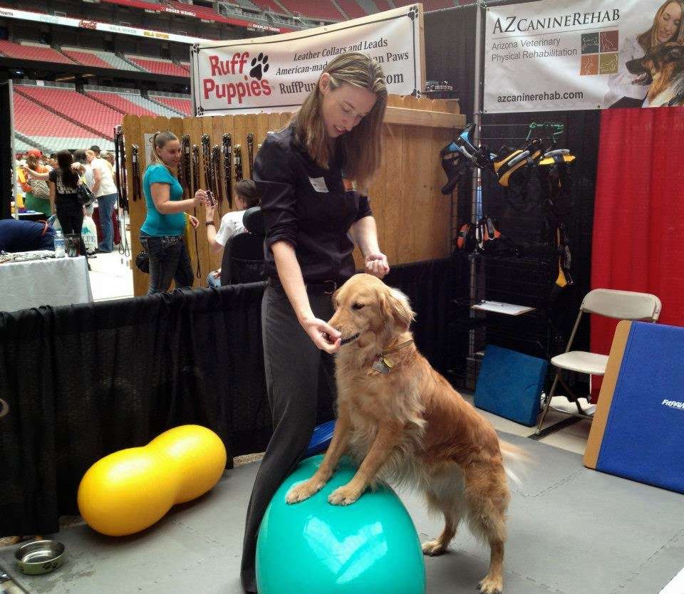 Arizona Veterinary Physical Rehabilitation | 19313 N 73rd Ln, Glendale, AZ 85308, USA | Phone: (480) 285-9848