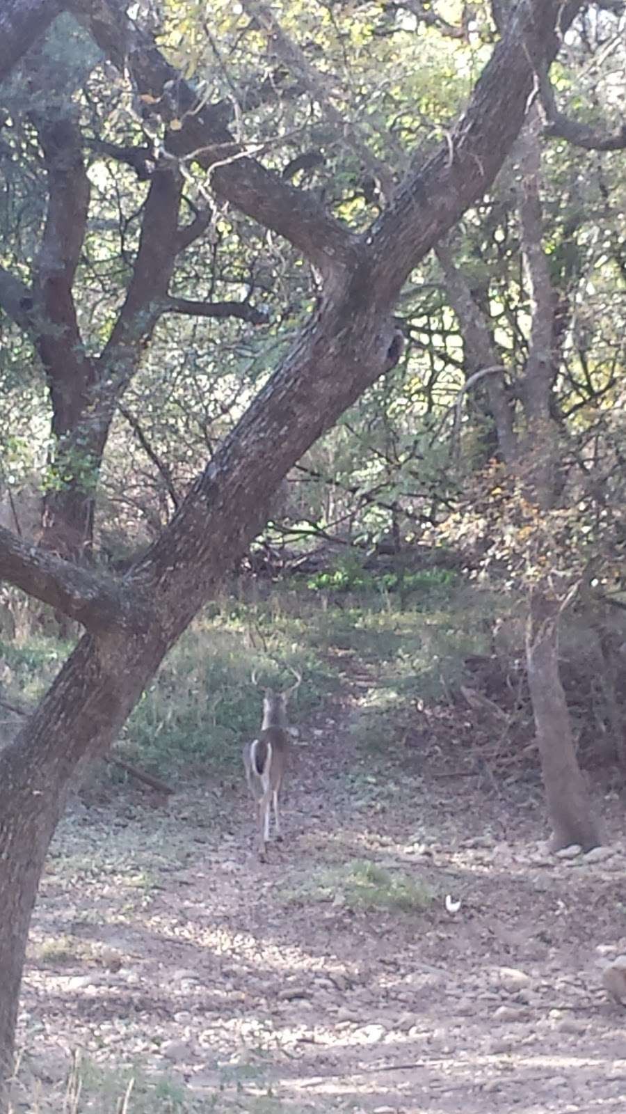 Bamberger Trailhead | 12401 Babcock Rd, San Antonio, TX 78249 | Phone: (210) 207-6000