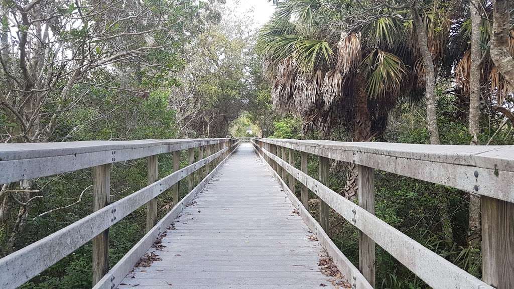 Chapel Trail Nature Preserve | 19800 Sheridan St, Pembroke Pines, FL 33332, USA | Phone: (954) 450-6895