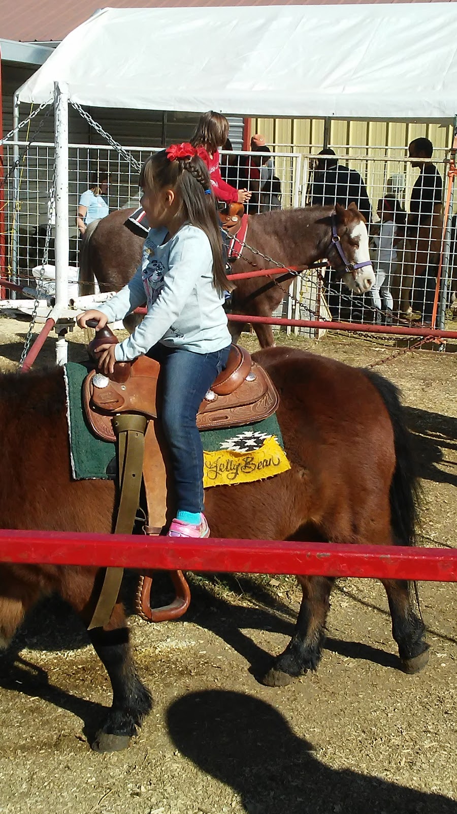 Rocky Mountain Pumpkin Ranch | 9059 Ute Hwy, Longmont, CO 80503, USA | Phone: (303) 684-0087