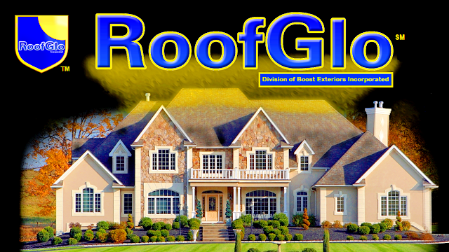 100% Zero Pressure Roof Cleaning Treatment and Building Cleaning | 638 Independence Pkwy, Chesapeake, VA 23320, USA | Phone: (877) 548-4777