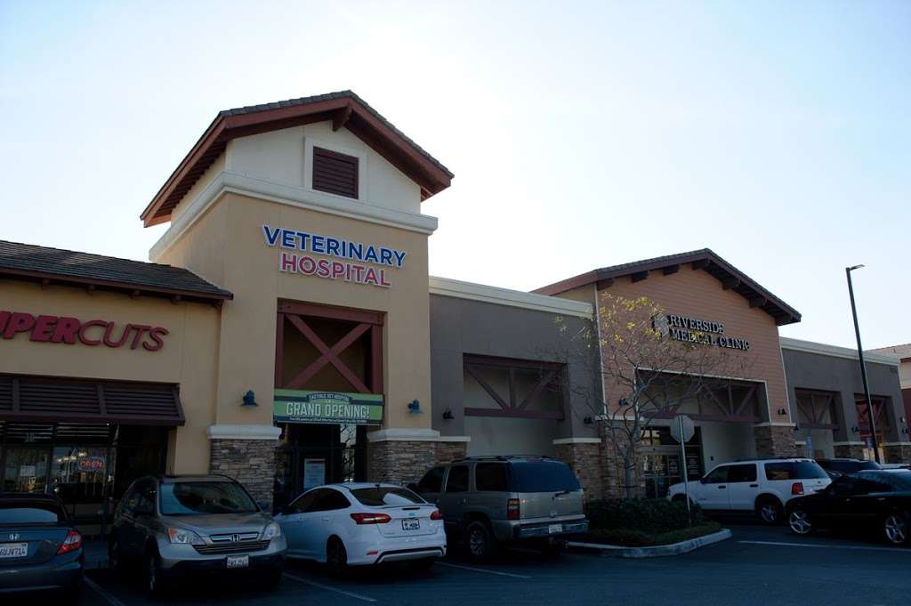Eastvale Veterinary Hospital | 12672 Limonite Ave #3a, Eastvale, CA 92880, USA | Phone: (951) 763-8800