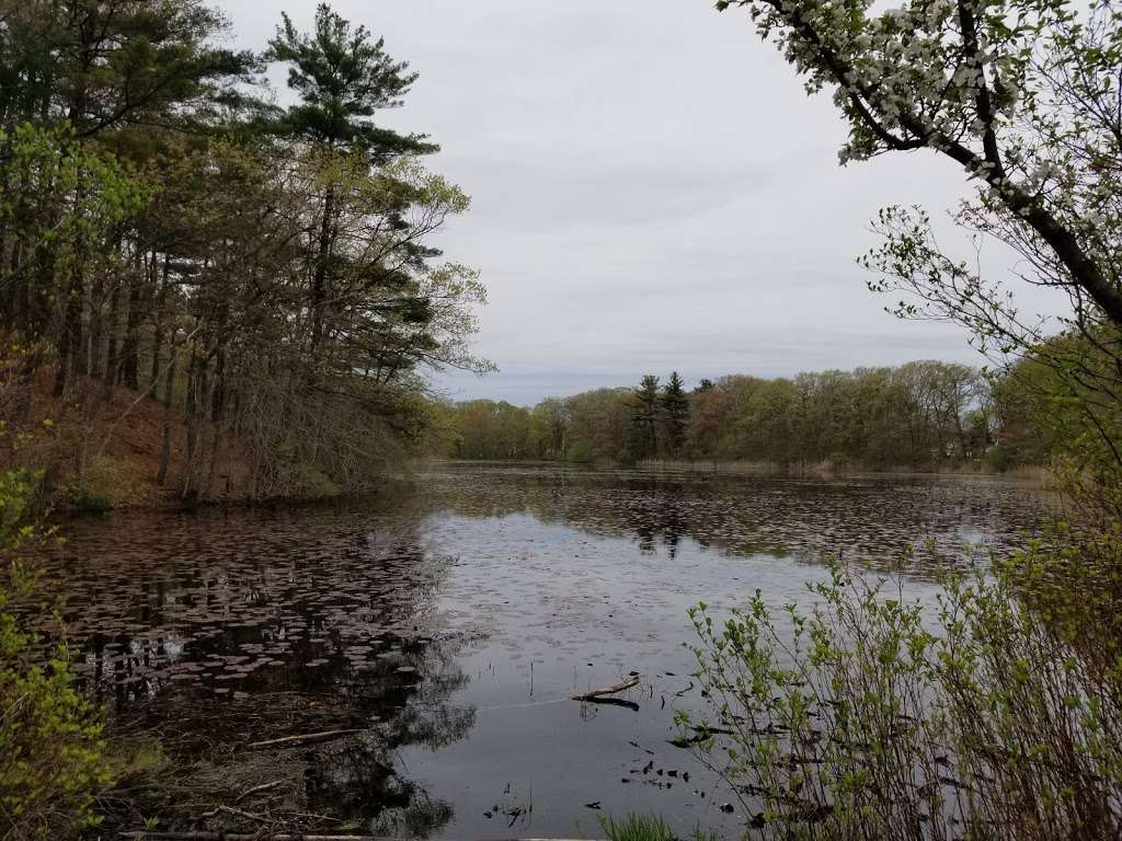 Blue Hills - Skyline Trail | Quincy, MA 02169, USA