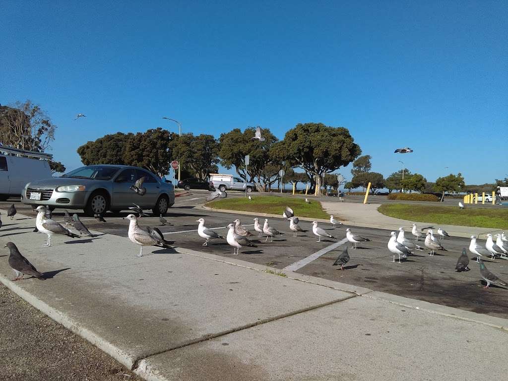 Chula Vista Bayfront Park | 980 Marina Way, Chula Vista, CA 91910, USA | Phone: (619) 748-0407