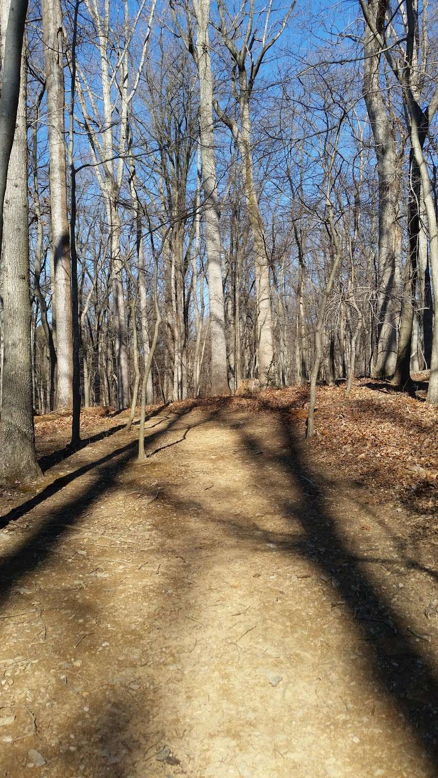 Kingfisher Overlook | Gaithersburg, MD 20878