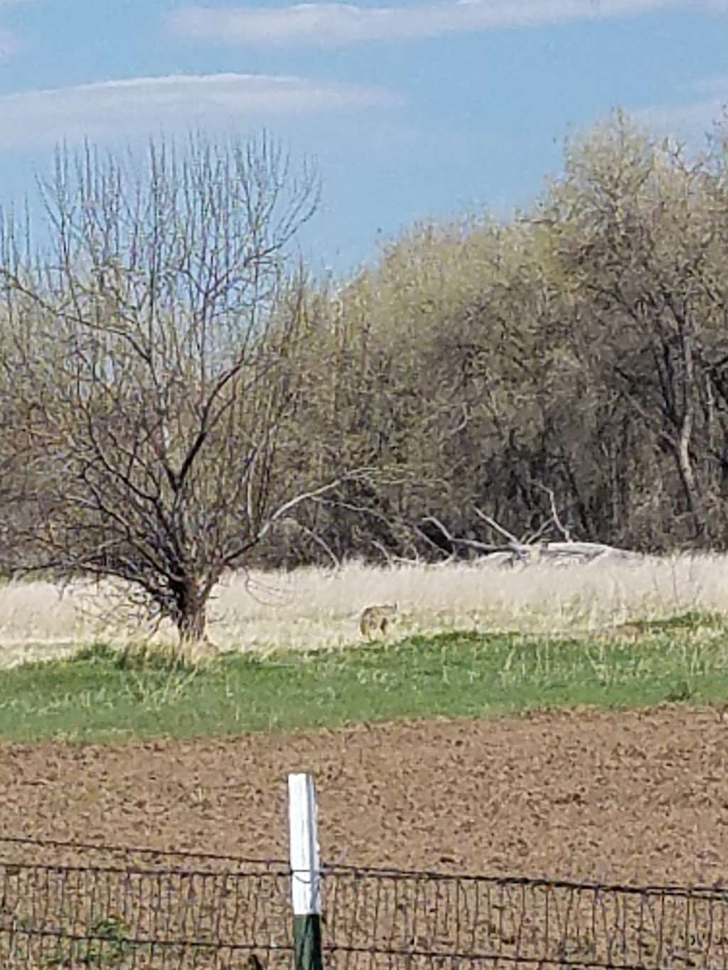 Coal Creek Trail - Lafayette, CO | Lafayette, CO 80026