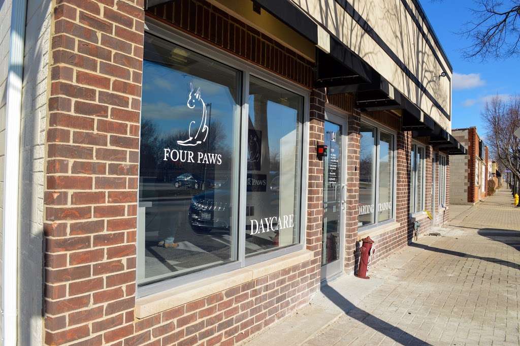 Four Paws: Dog Daycare & Boarding | 104 E St Charles Rd, Lombard, IL 60148, USA | Phone: (630) 376-6372