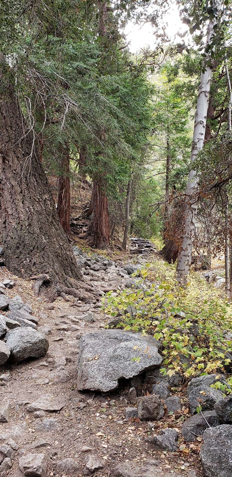 Japanese Saddle | Ice House Canyon Trail, Mt Baldy, CA 91759