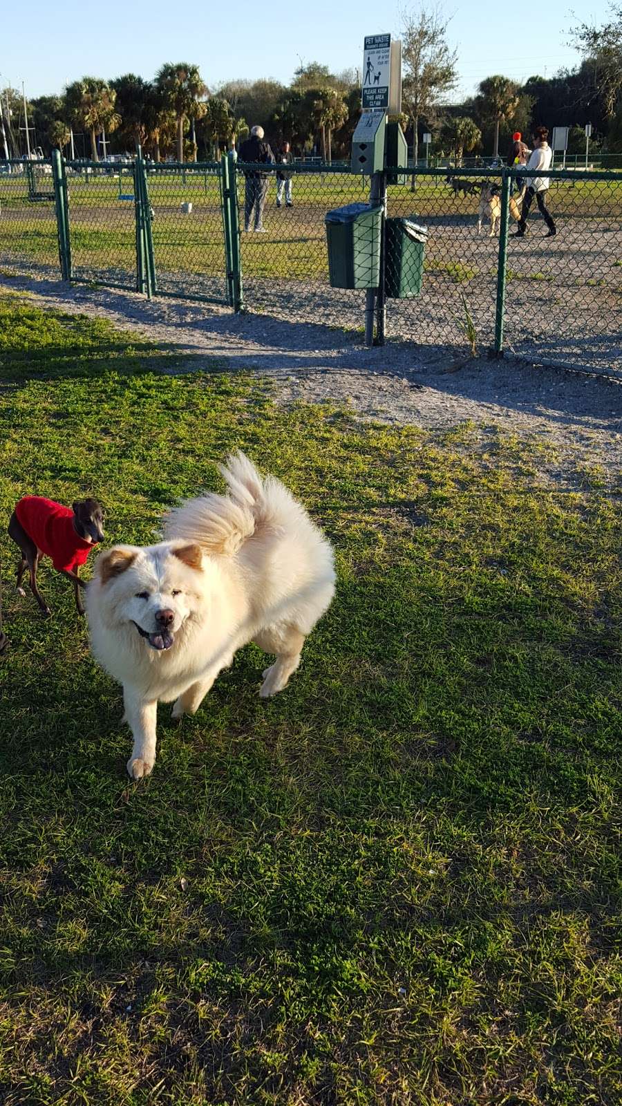 Brevard County Marina Dog Park - 501 Marina Rd, Titusville, FL 32796