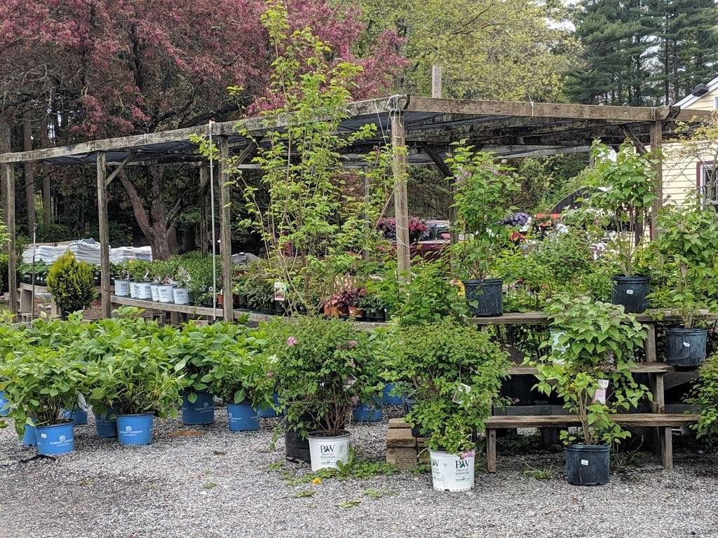 Kazanjians Groton Nursery & Garden Center | 386 West Main Street, West Groton, MA 01472, USA | Phone: (978) 448-5761