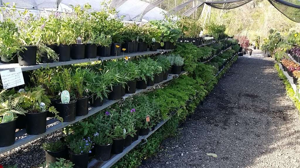 Hillside Nursery | 110 Jackson St, Clifton Heights, PA 19018, USA | Phone: (610) 626-2826