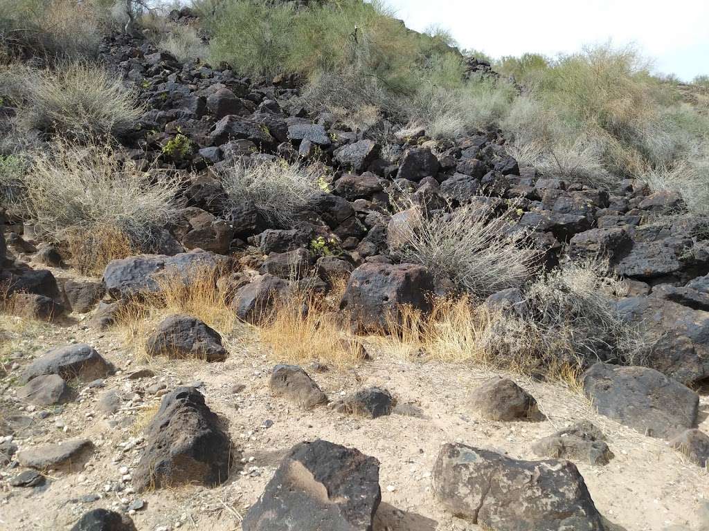 Deer Valley Petroglyph Preserve | 3711 W Deer Valley Dr, Glendale, AZ 85308, USA | Phone: (623) 582-8007