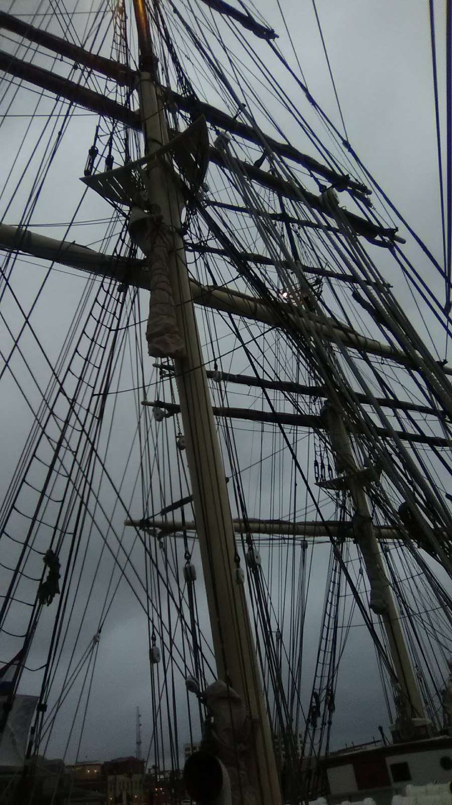 1877 Tall Ship ELISSA at the Texas Seaport Museum | 2200 Harborside Dr, Galveston, TX 77550, USA | Phone: (409) 763-1877