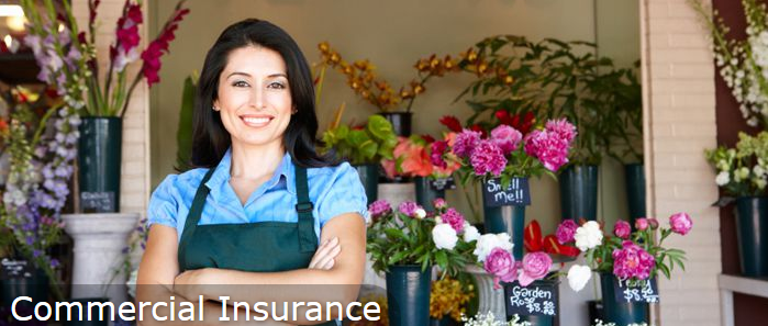 Insurance Associates of Pennsylvania | 725 W Skippack Pike # 360, Blue Bell, PA 19422, USA | Phone: (215) 646-7353