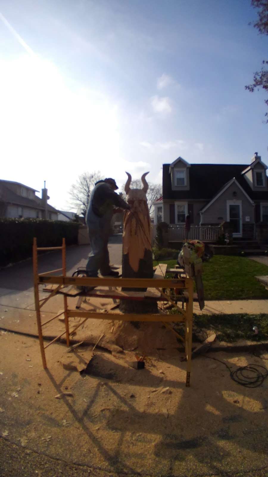 Ackmonsters Chainsaw Art | 92 W Deerfield Rd, Bridgeton, NJ 08302, USA