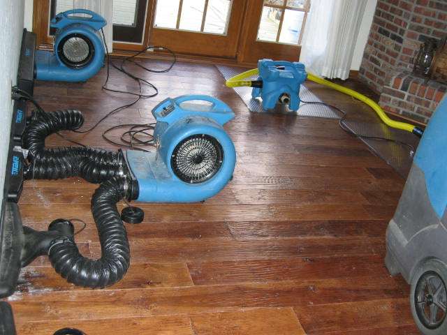 Carpet Cleaning Whittier | 13553 Murphy Hill Dr, Whittier, CA 90601 | Phone: (323) 741-6842