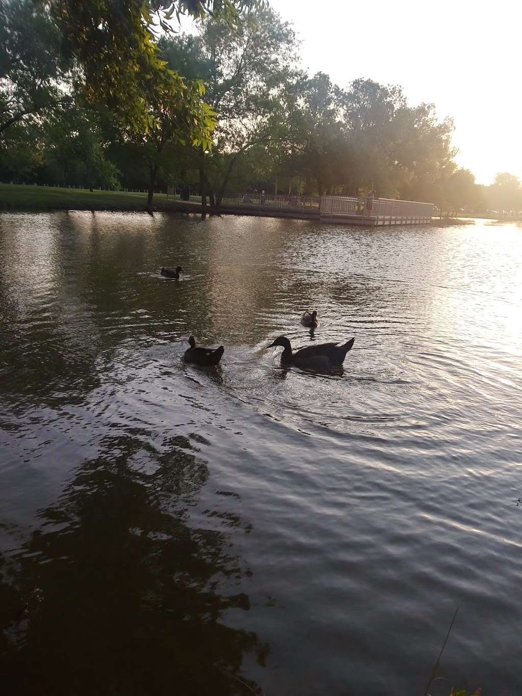 Great Trinity Forest Gateway And Horse Trail | 21611 Dowdy Ferry Rd, Dallas, TX 75217, USA