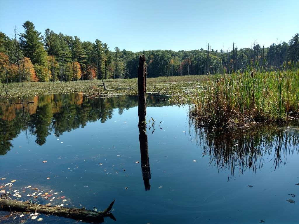 Kendall Pond Conservation Area | 87 South Rd, Londonderry, NH 03053, USA