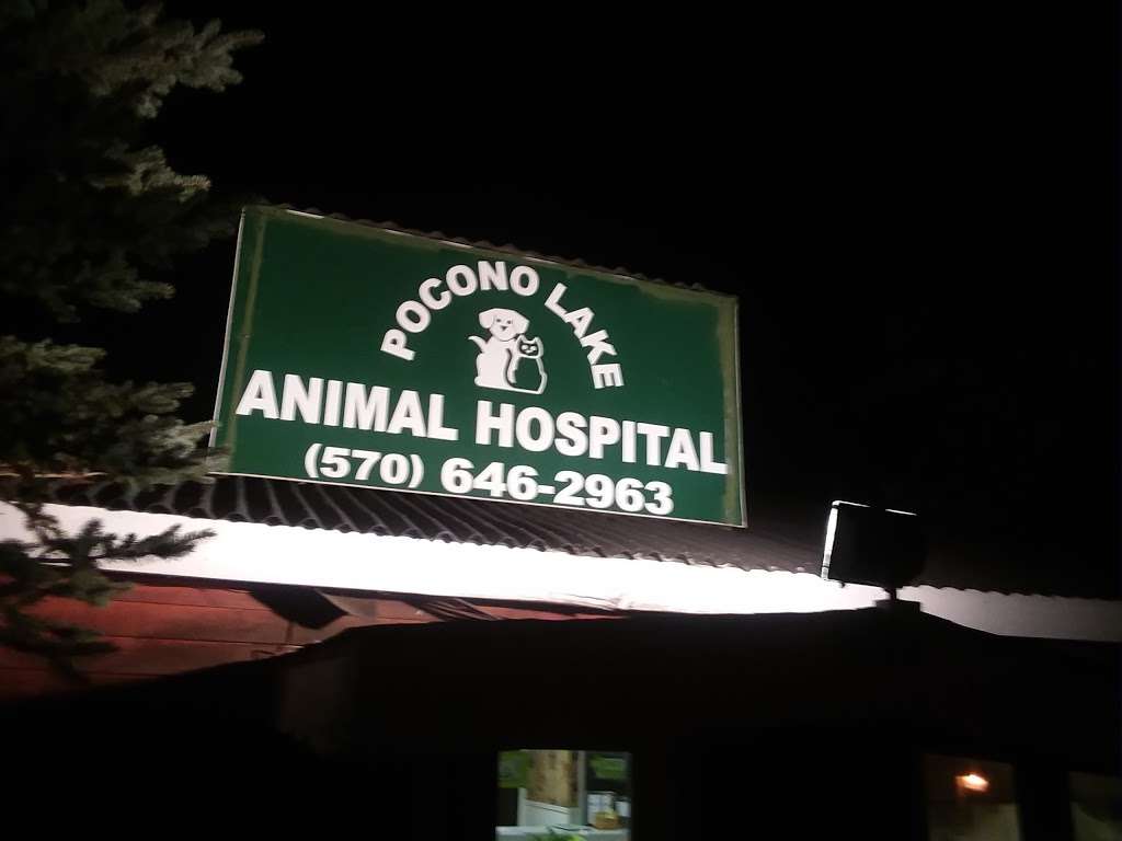 Pocono Lake Animal Hospital | 257 Old Rte 940, Pocono Lake, PA 18347, USA | Phone: (570) 646-2963