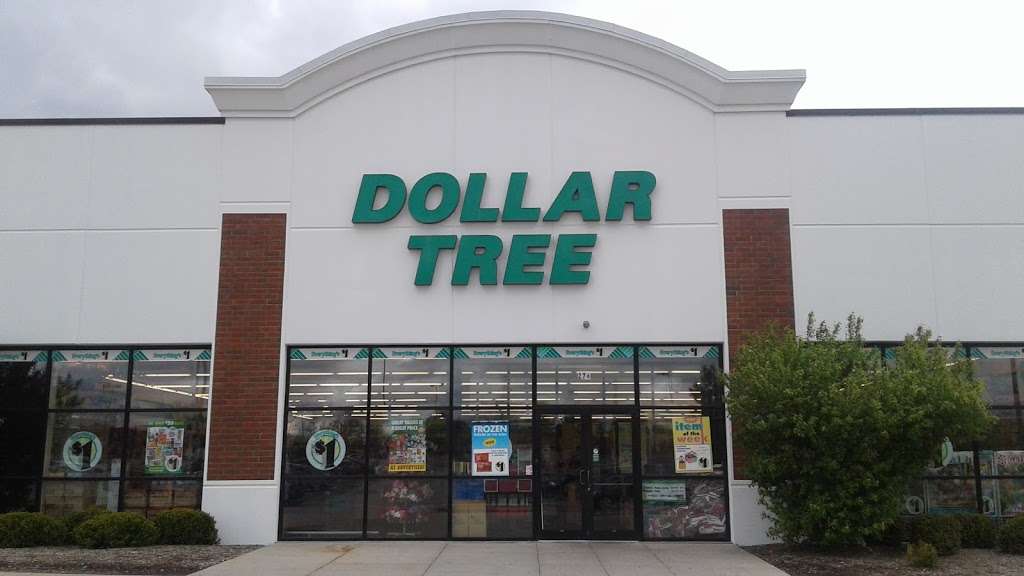 Dollar Tree | 276 E Rollins Rd, Round Lake Beach, IL 60073, USA | Phone: (847) 740-1093