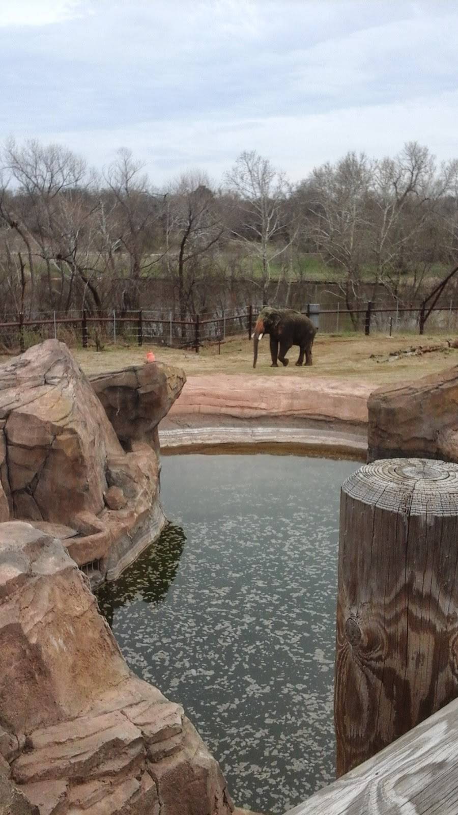 Okc Zoo Education | 2101 NE 50th St, Oklahoma City, OK 73111 | Phone: (405) 425-0218