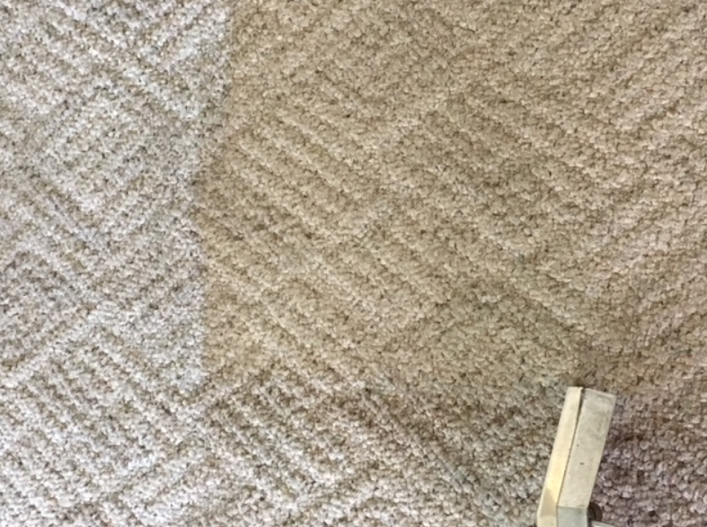 Ecogreen Pro: Carpet Cleaning Services | 109 Founders Ct, Bethlehem, PA 18020, USA | Phone: (833) 994-7336