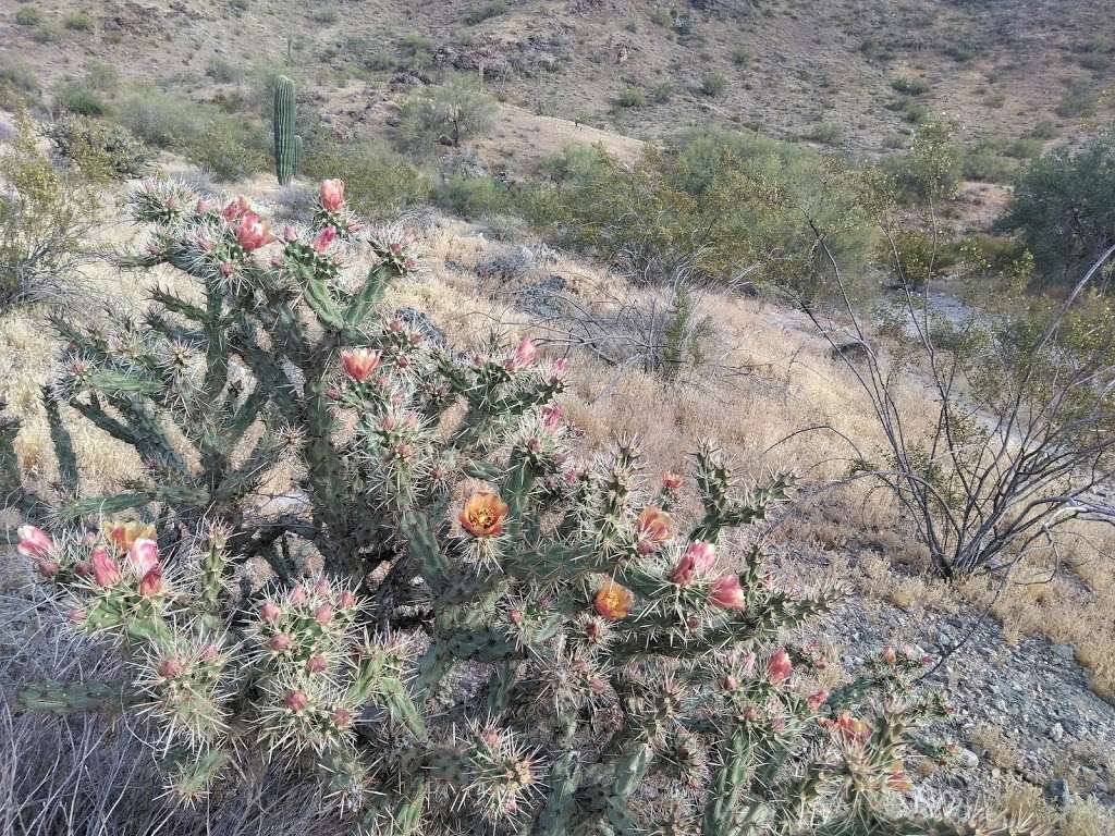 Pima Wash Trail | Pima Wash Trail, Phoenix, AZ 85042, USA