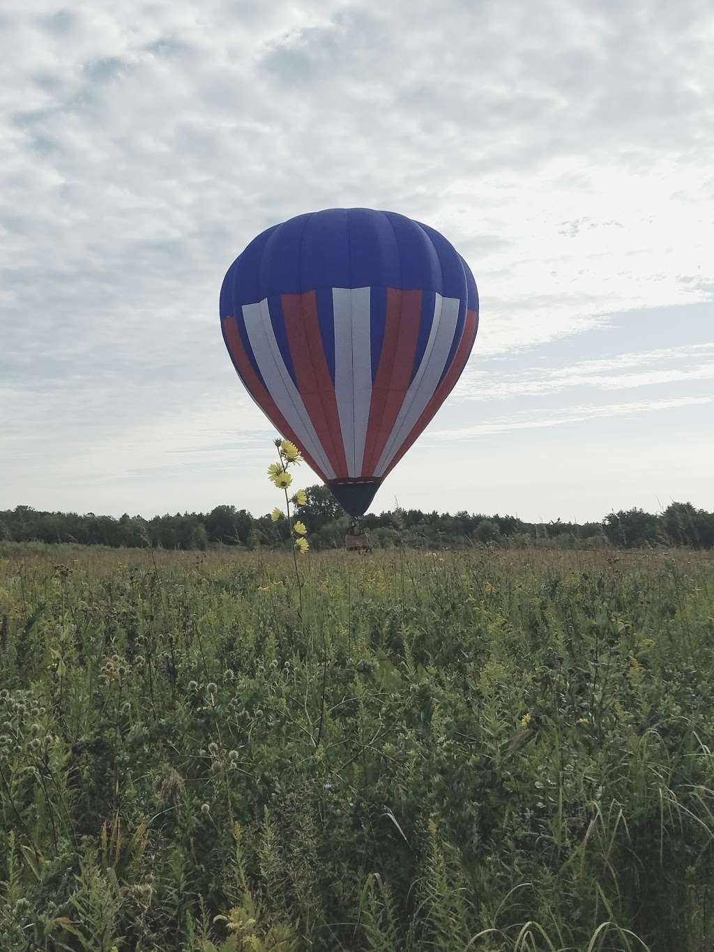 High Point Conservation Area | 10250 Reese Rd, Harvard, IL 60033, USA | Phone: (815) 338-6223