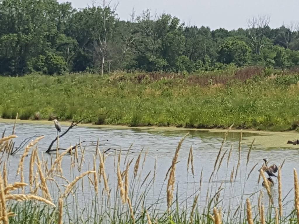 Eagle Marsh Nature Preserve | 6801 Engle Rd, Fort Wayne, IN 46804, USA | Phone: (260) 478-2515