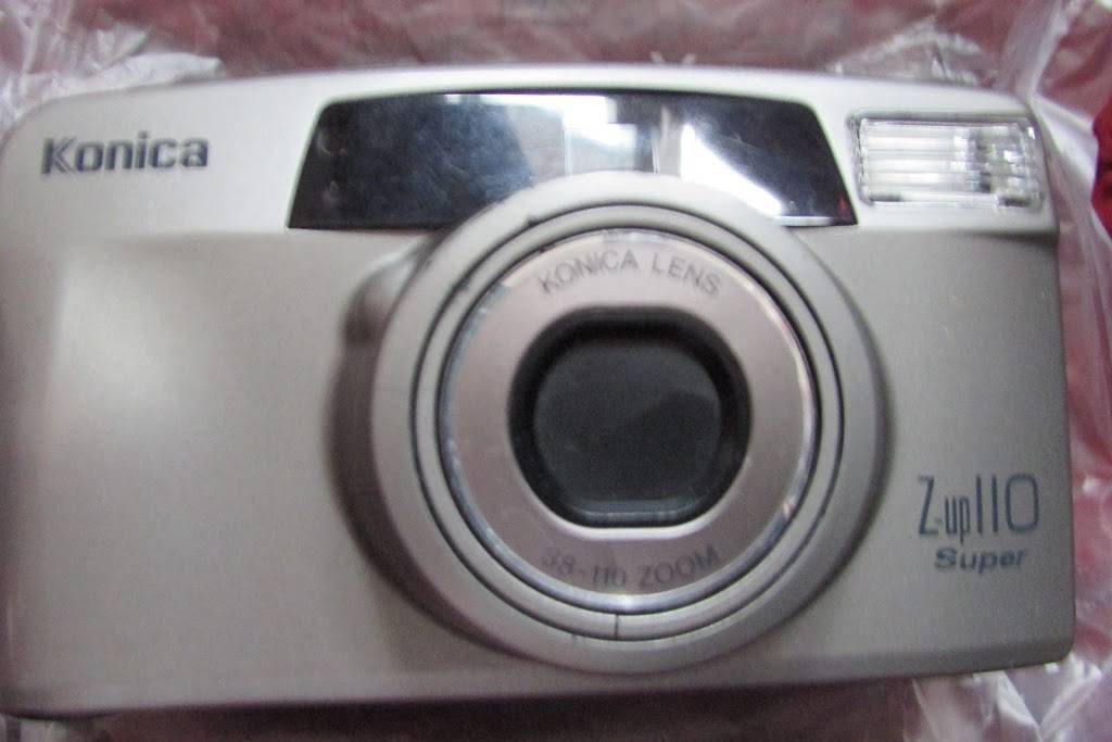 Catz Place | Reno, NV 89506, USA | Phone: (775) 303-0759