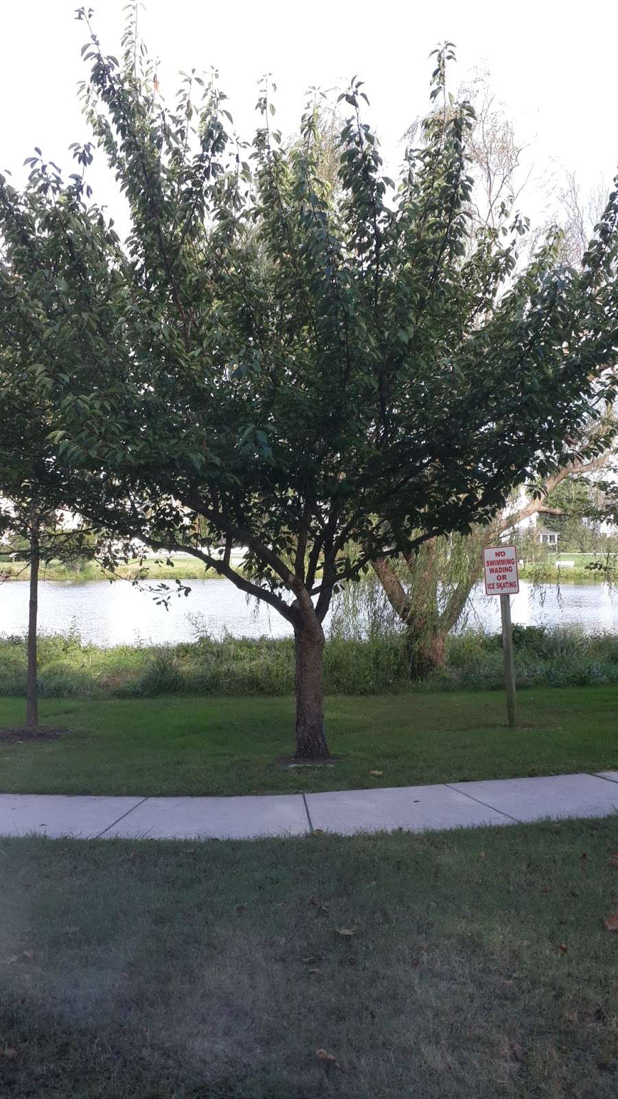 Lake Gerar Park | Rehoboth Beach, DE 19971, USA