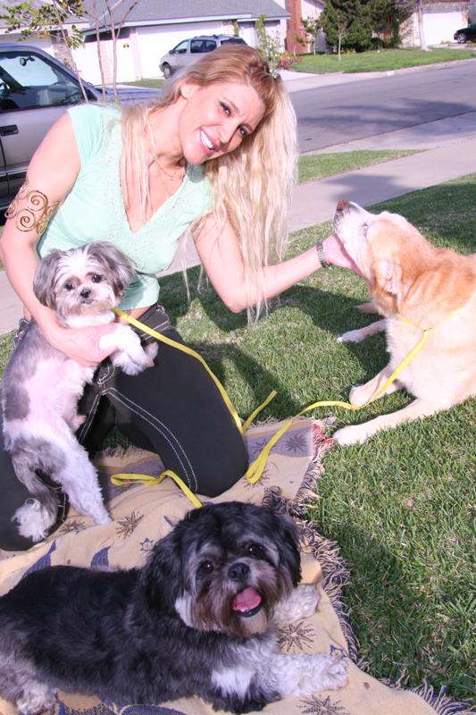 Puppy Love Pet Spa | 1608 Colorado Blvd, Los Angeles, CA 90041, USA | Phone: (323) 256-2000