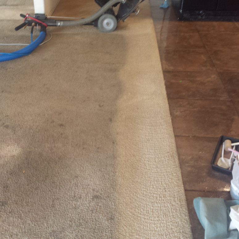 Sal Trevinos Carpet Cleaning Service | 10700 N 85th Ave # 926, Peoria, AZ 85345, USA | Phone: (623) 486-4000