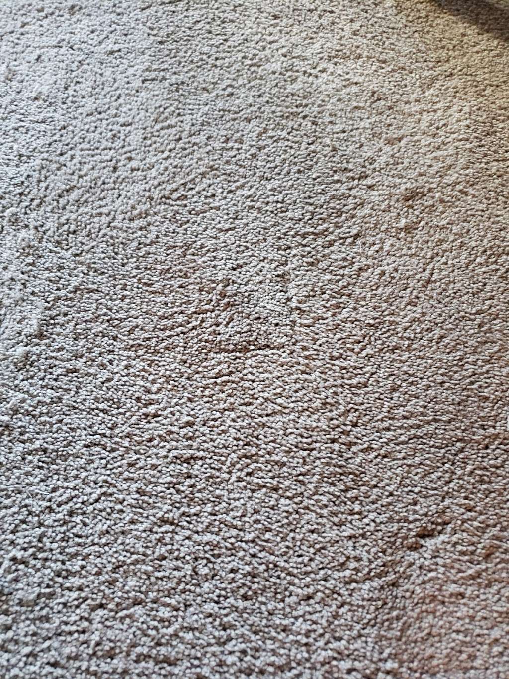 Logan Carpet Cleaning inc | 1500 Cypress Woods Cir, St Cloud, FL 34772, USA | Phone: (407) 957-6775 Logan Carpet Cleaning inc | 1500 Cypress Woods Cir, St Cloud, FL 34772, USA | Phone: (407) 957-6775