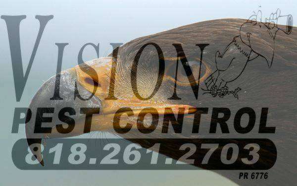 Vision Pest Control | 5153 Spyglass Dr, Palmdale, CA 93552, USA | Phone: (818) 471-9644
